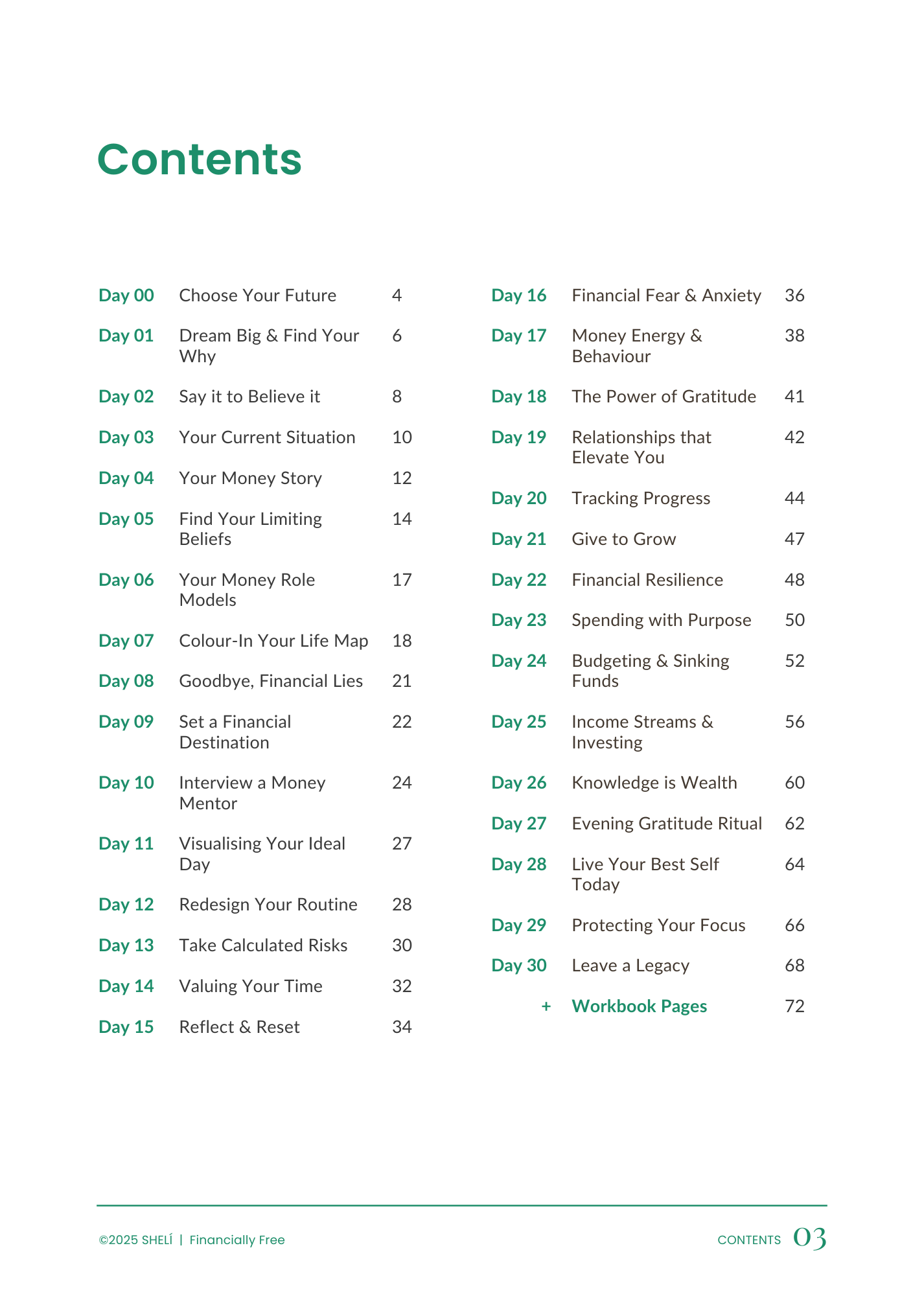 Your Wealth Era Guided Journal by SHELÍ Financially Free